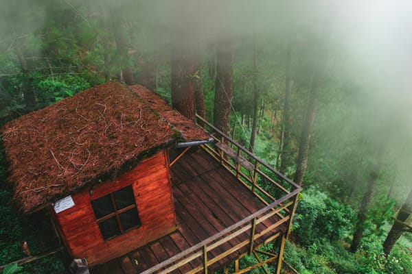 joya_DEV/o4oq13owdywvxwzktoez