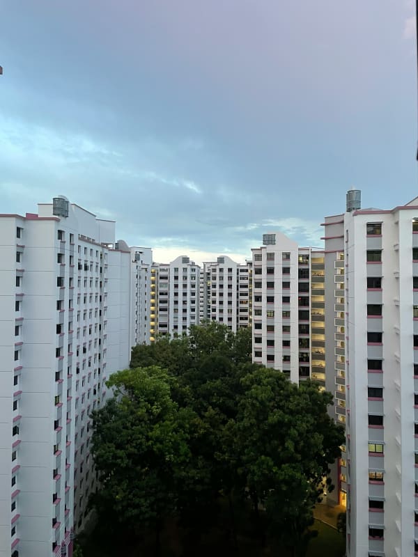 joya_DEV/iflrctbxao3lk6nq3n9i