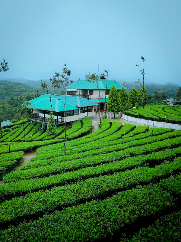 joya_DEV/himzf0cll3mjom7obs1o