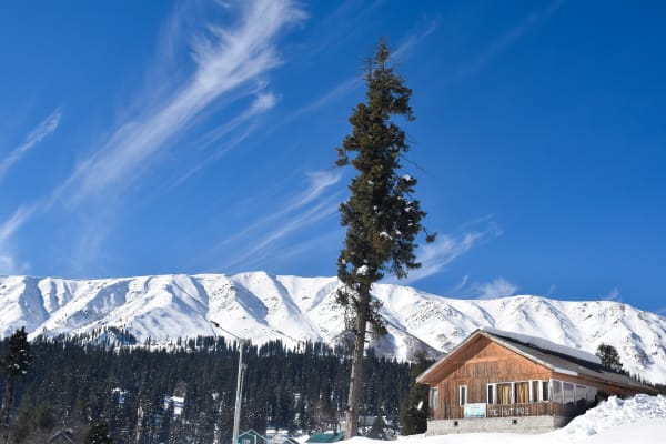 joya_DEV/n5agmlsvcvday8t3ewus