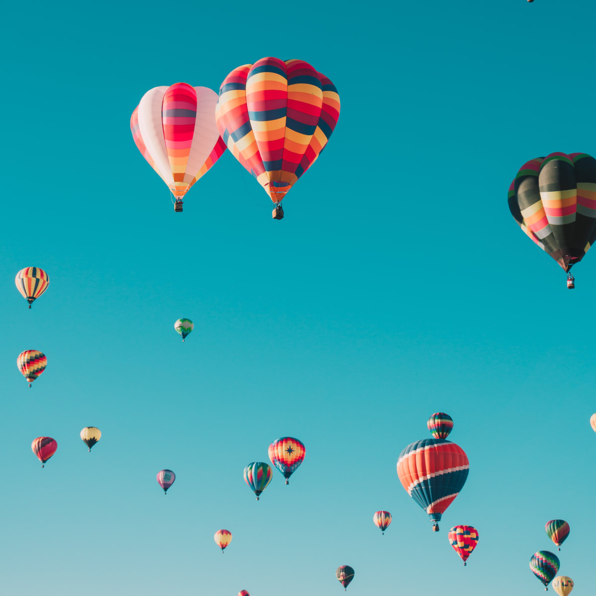 Steve test img alt text 1