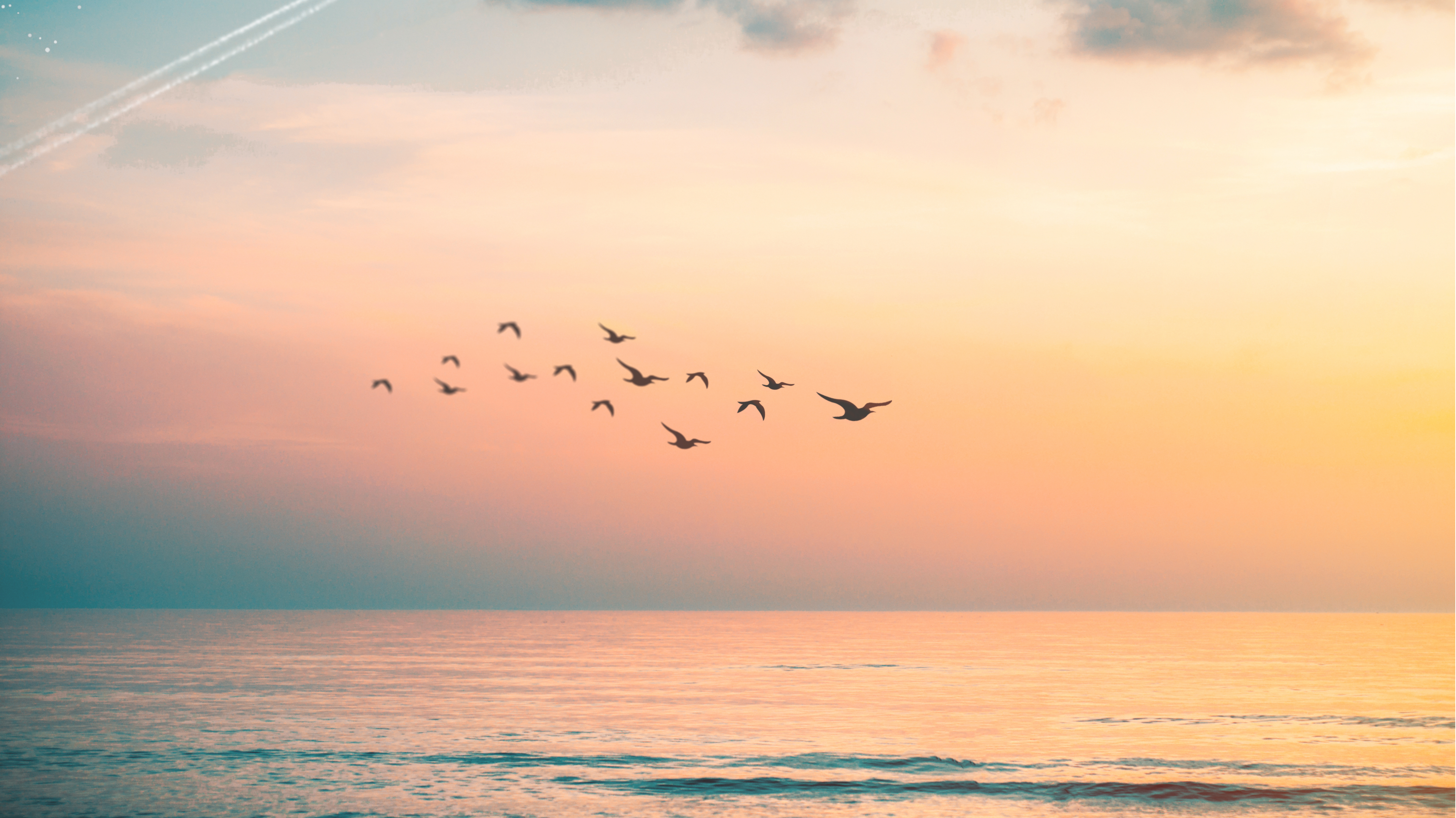 Homepage hero banner