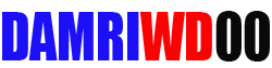 Logo DAMRIWD00