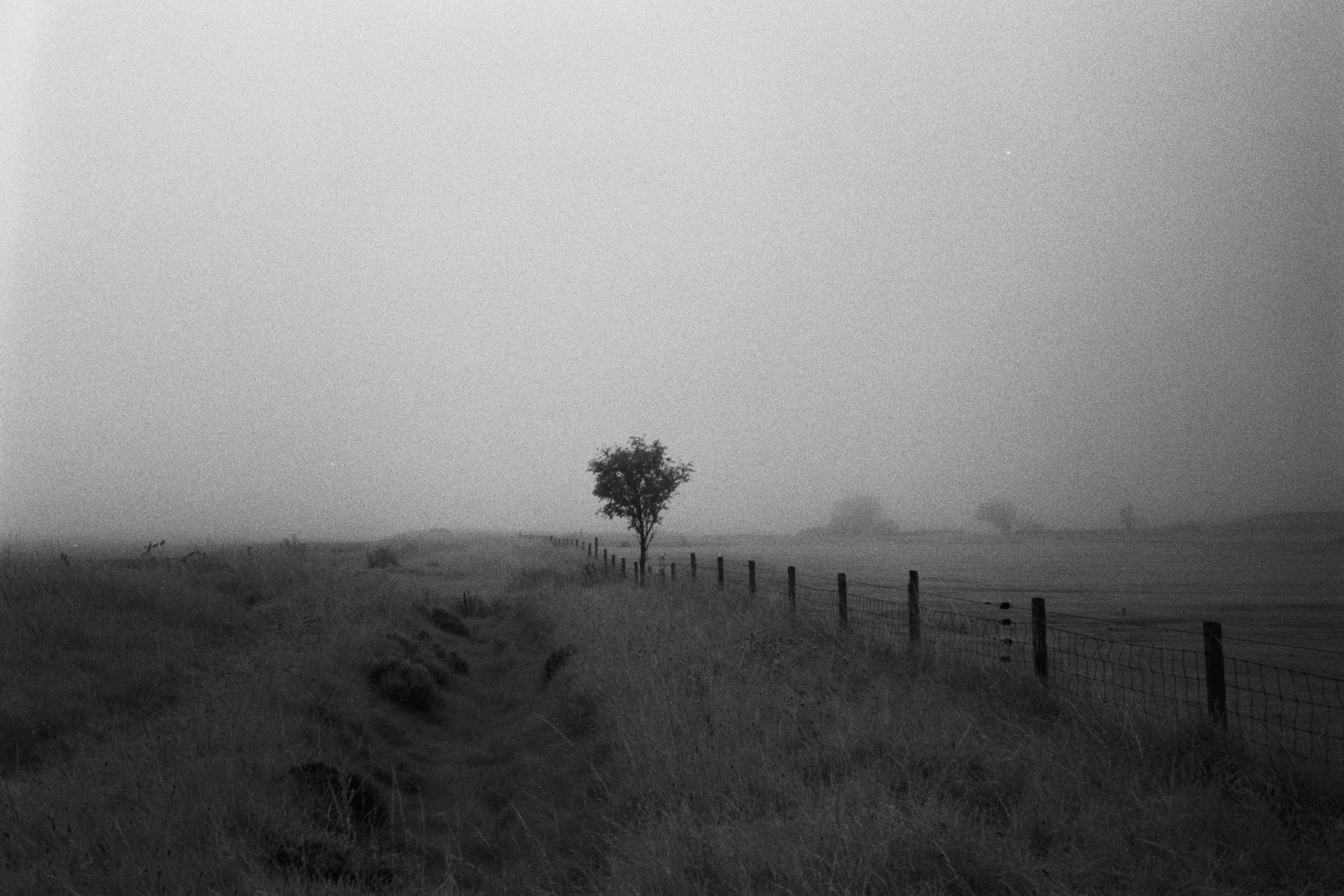 MONOCHROME MIST