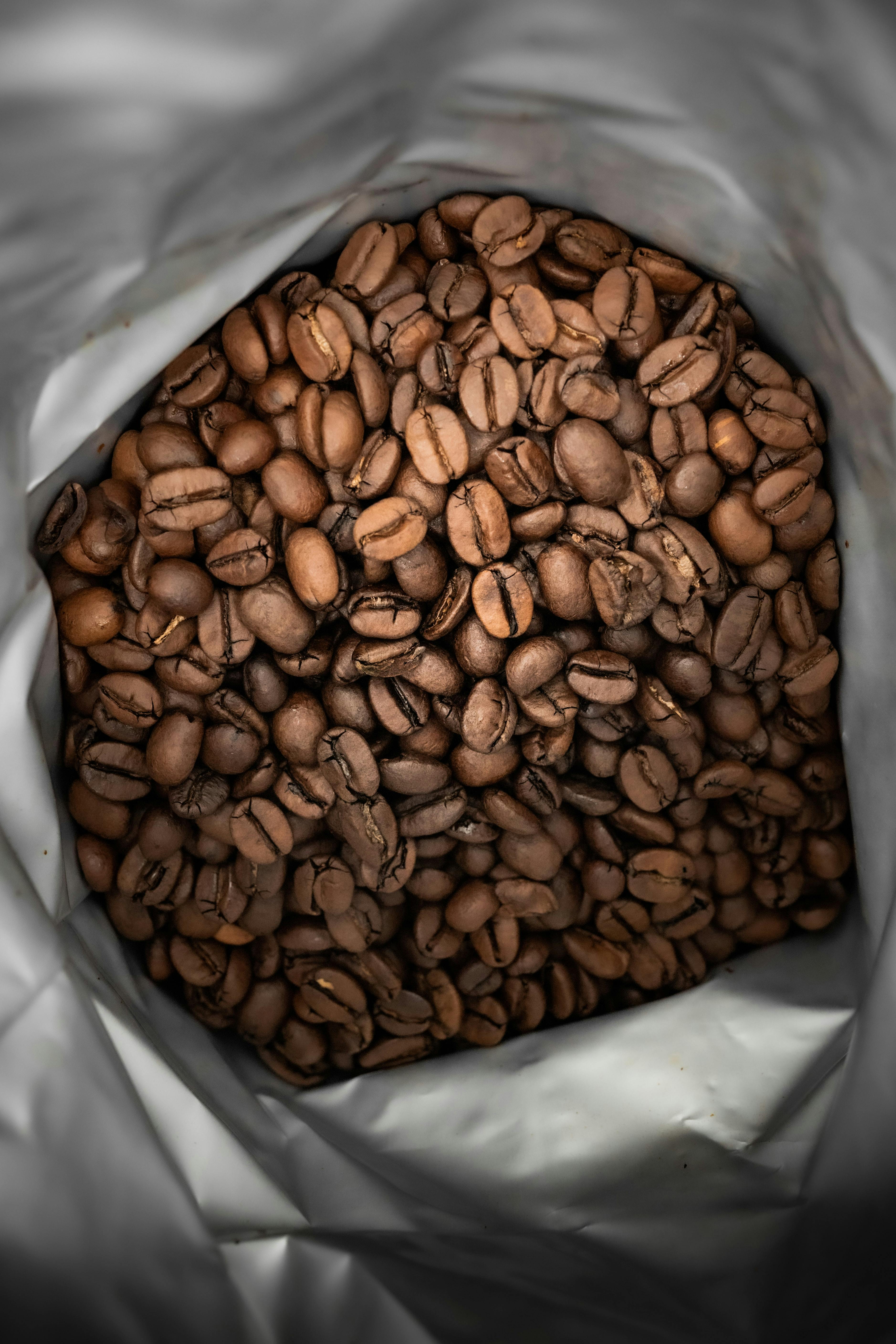 Premium Coffee Bean at Green Plus Coffee