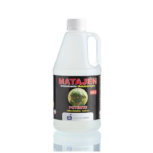 product-presentation