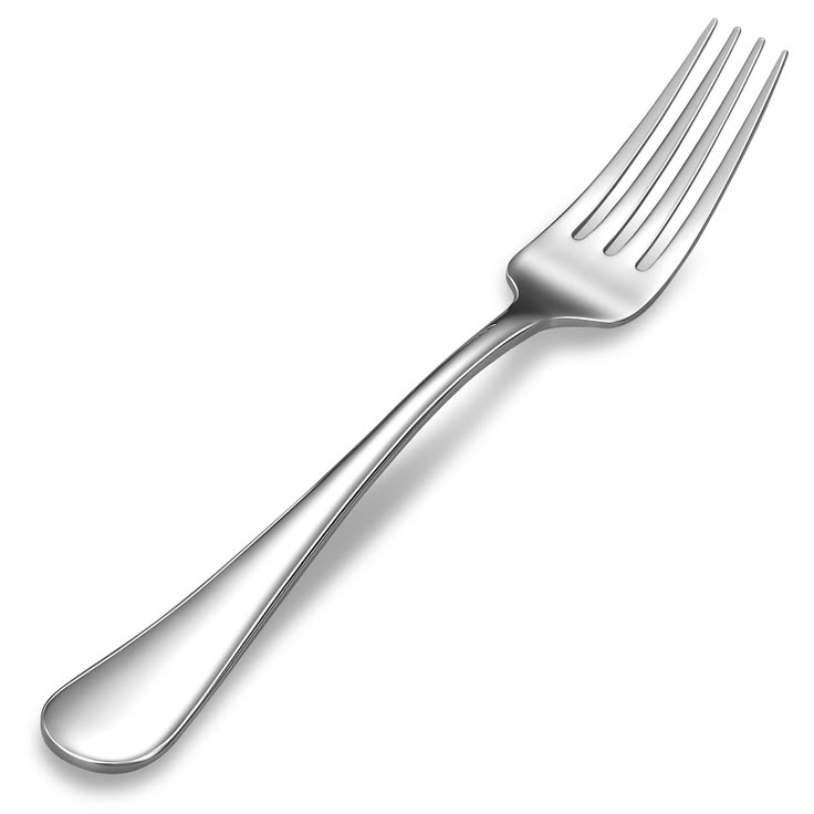 Stainless Steel Dinner Fork
