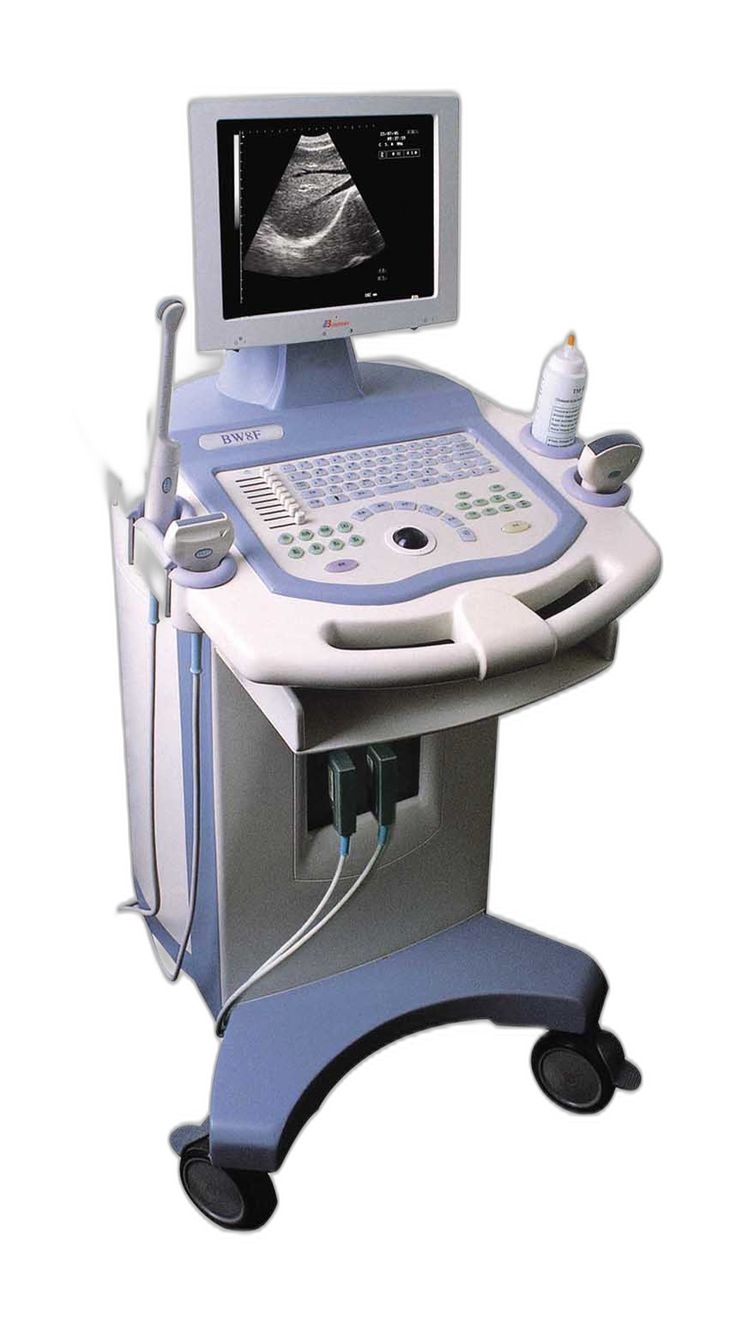 BW8F Diagnostic Ultrasound System