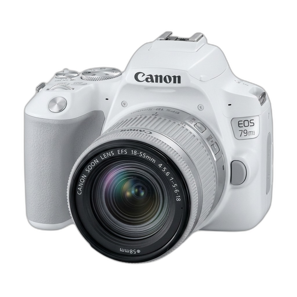 Canon EOS 79M3 DSLR Camera Kit