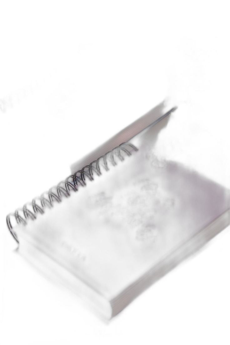 Spiral Bound Notebook for Notes & Journaling