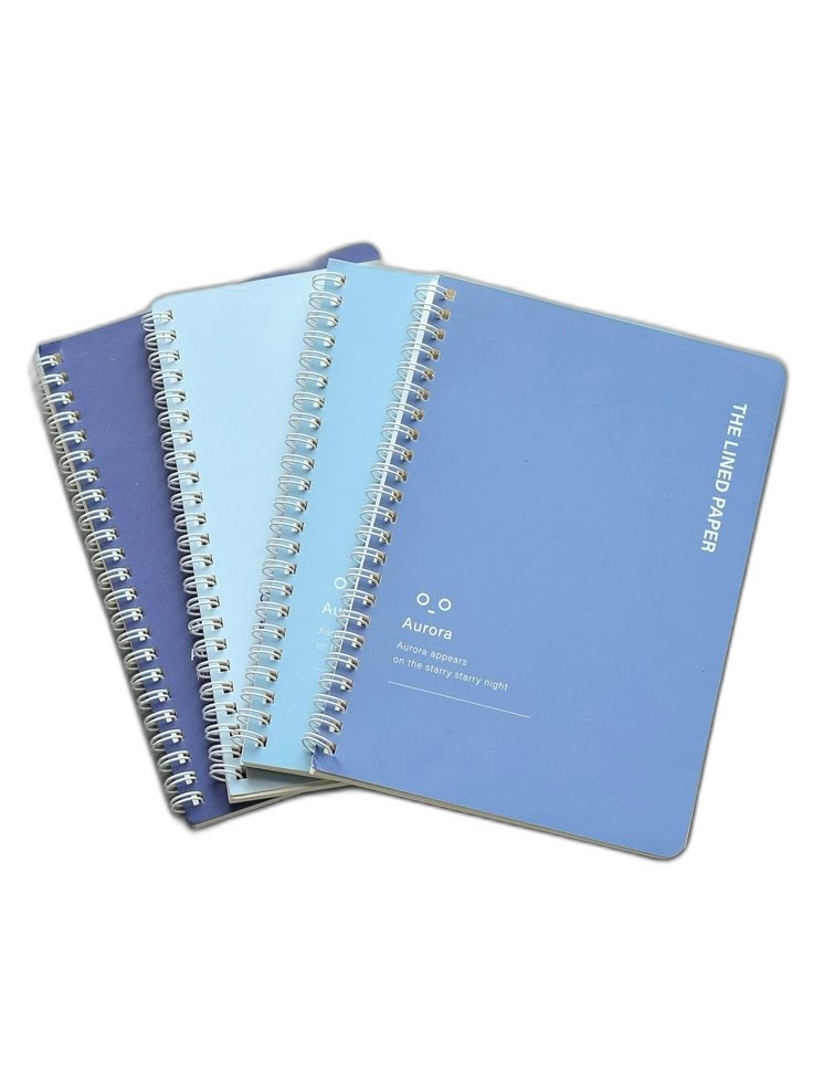 Aurora Lined Spiral Notebooks Set of 3