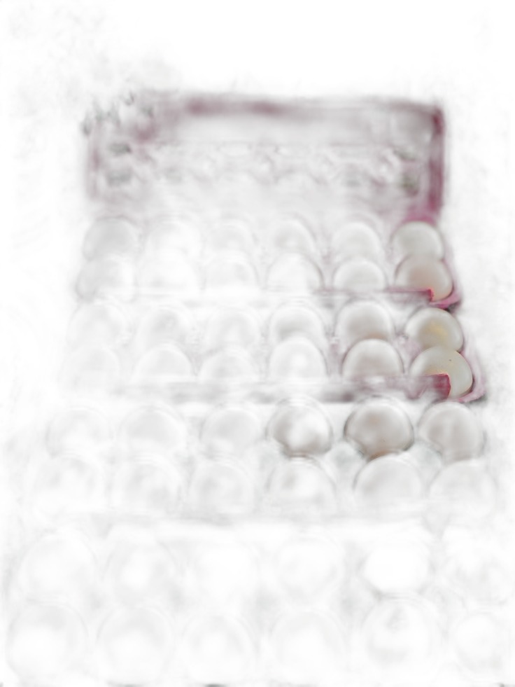 Farm Fresh Eggs