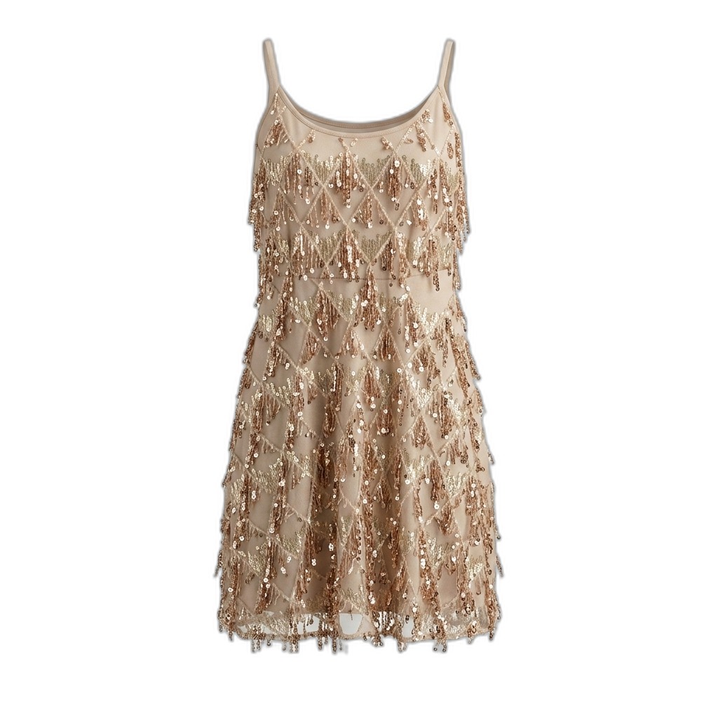 Sequin Fringe Flapper Style Mini Dress