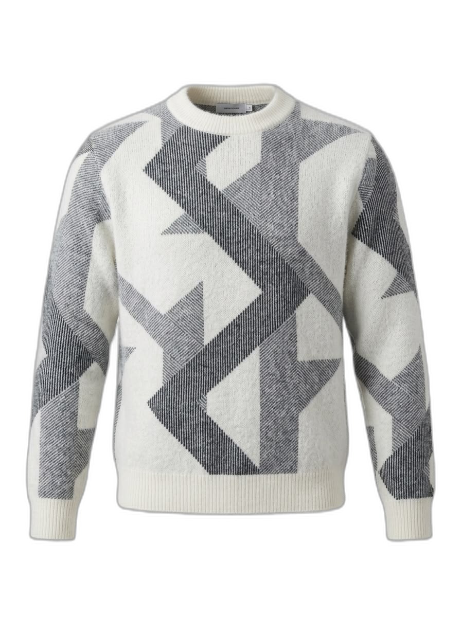 Men's Geometric Pattern Crew Neck Sweater