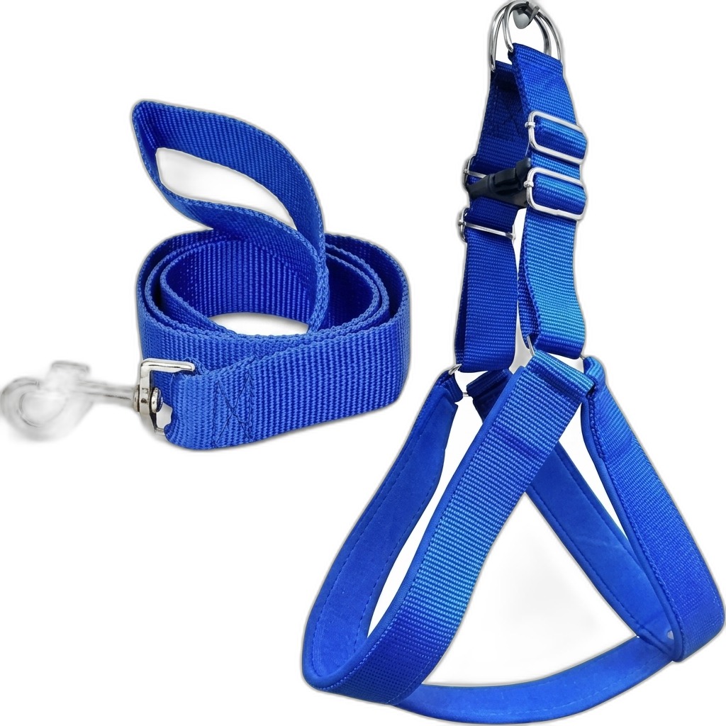 Blue Dog Harness and Leash Set for Pets