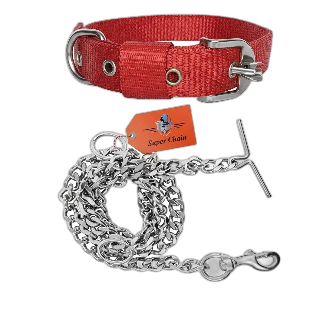 Red Dog Collar & Metal Chain Leash Set | Super Chain
