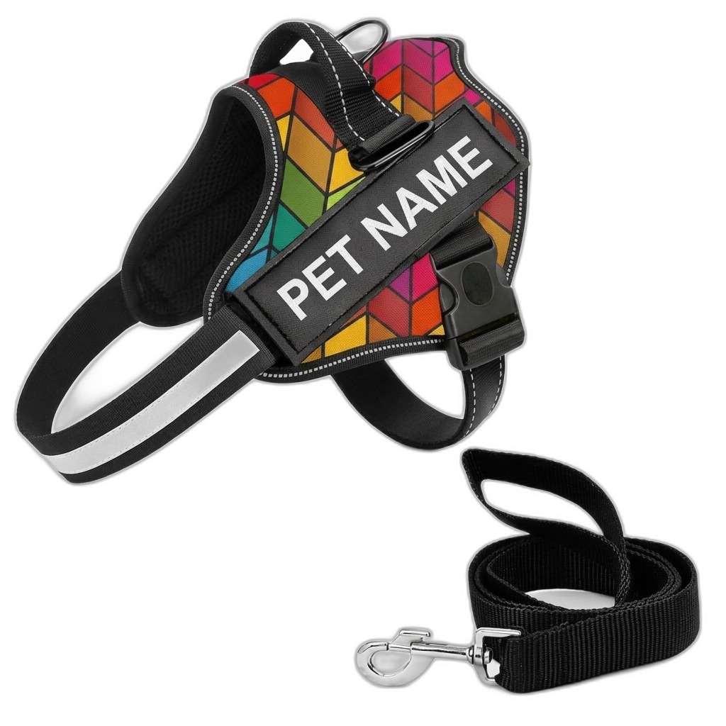 Rainbow Geometric Dog Harness & Leash with Name Patch