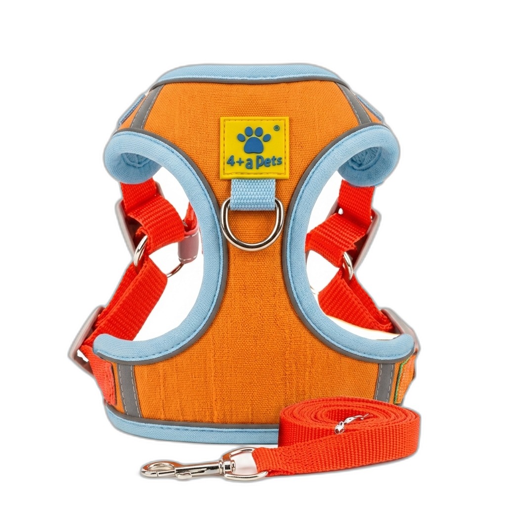 Orange & Blue Reflective Pet Harness & Leash