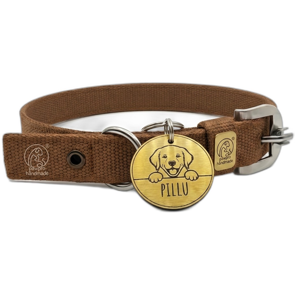 Brown Dog Collar with Custom Pet ID Tag for Dogs