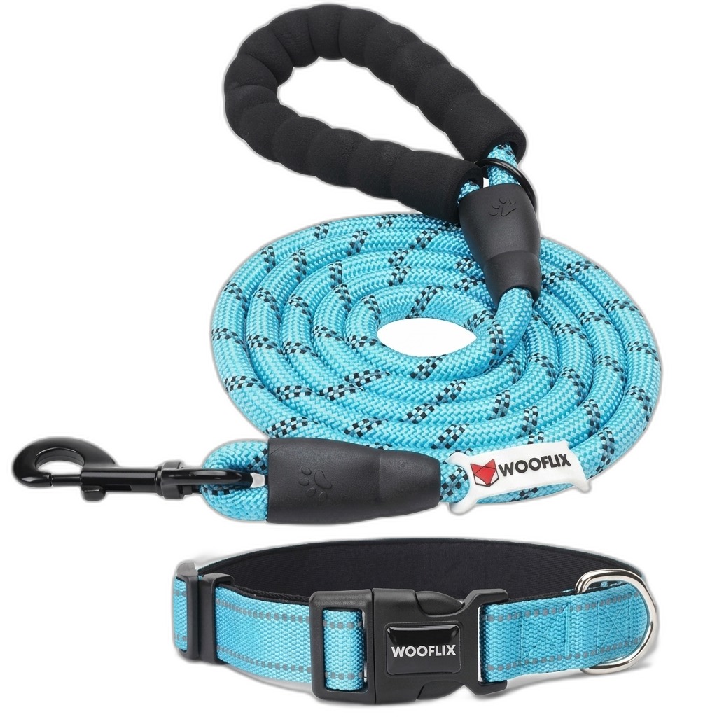 Reflective Dog Leash & Collar Set with Padded Handle