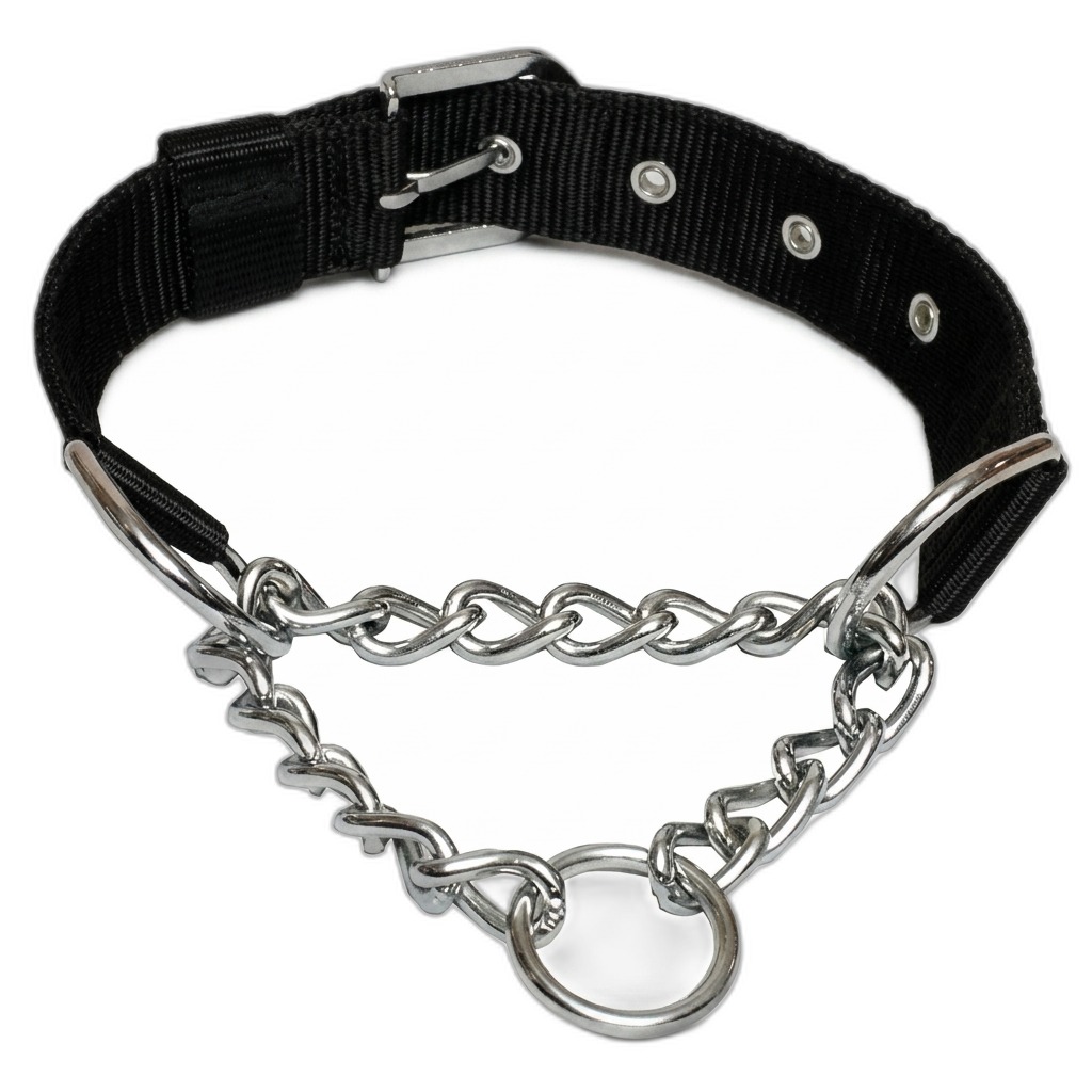 Black Nylon Martingale Dog Collar with Chain