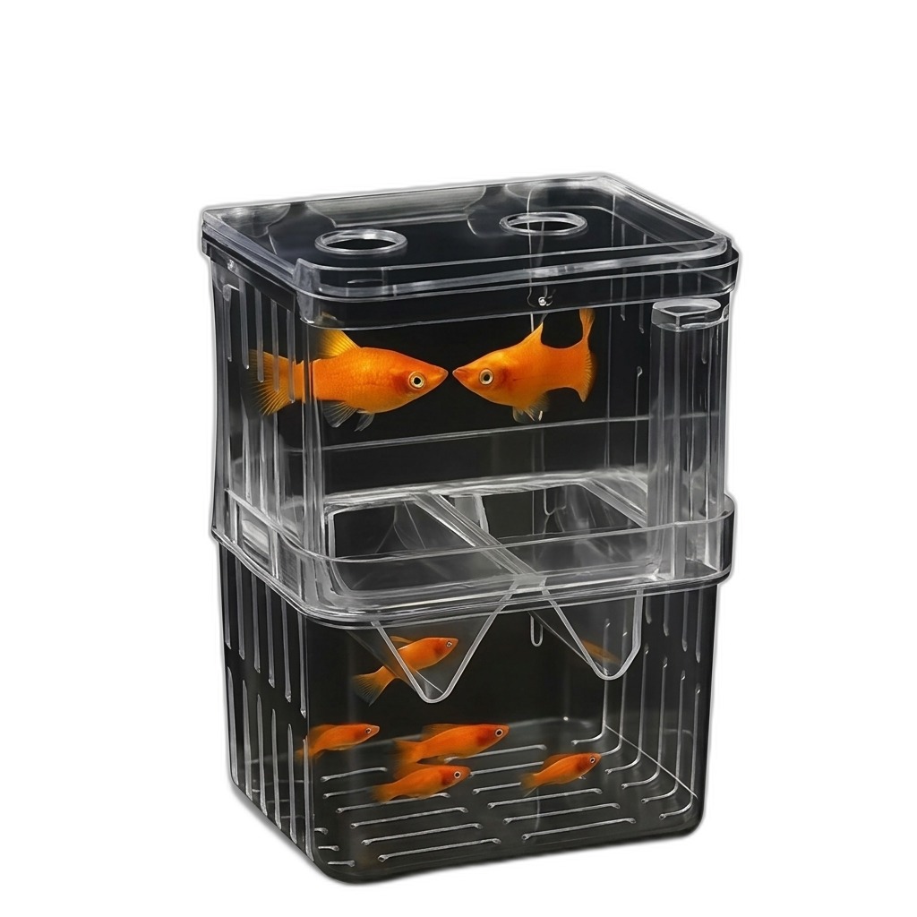 Fish Breeding Box | Aquarium Isolation Tank