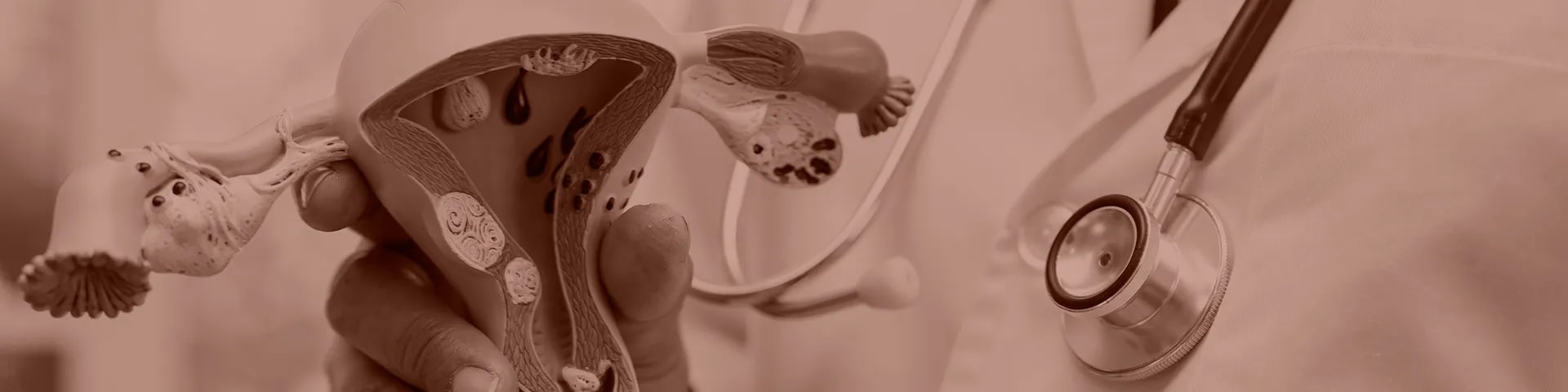 Imagem - Ginecologia