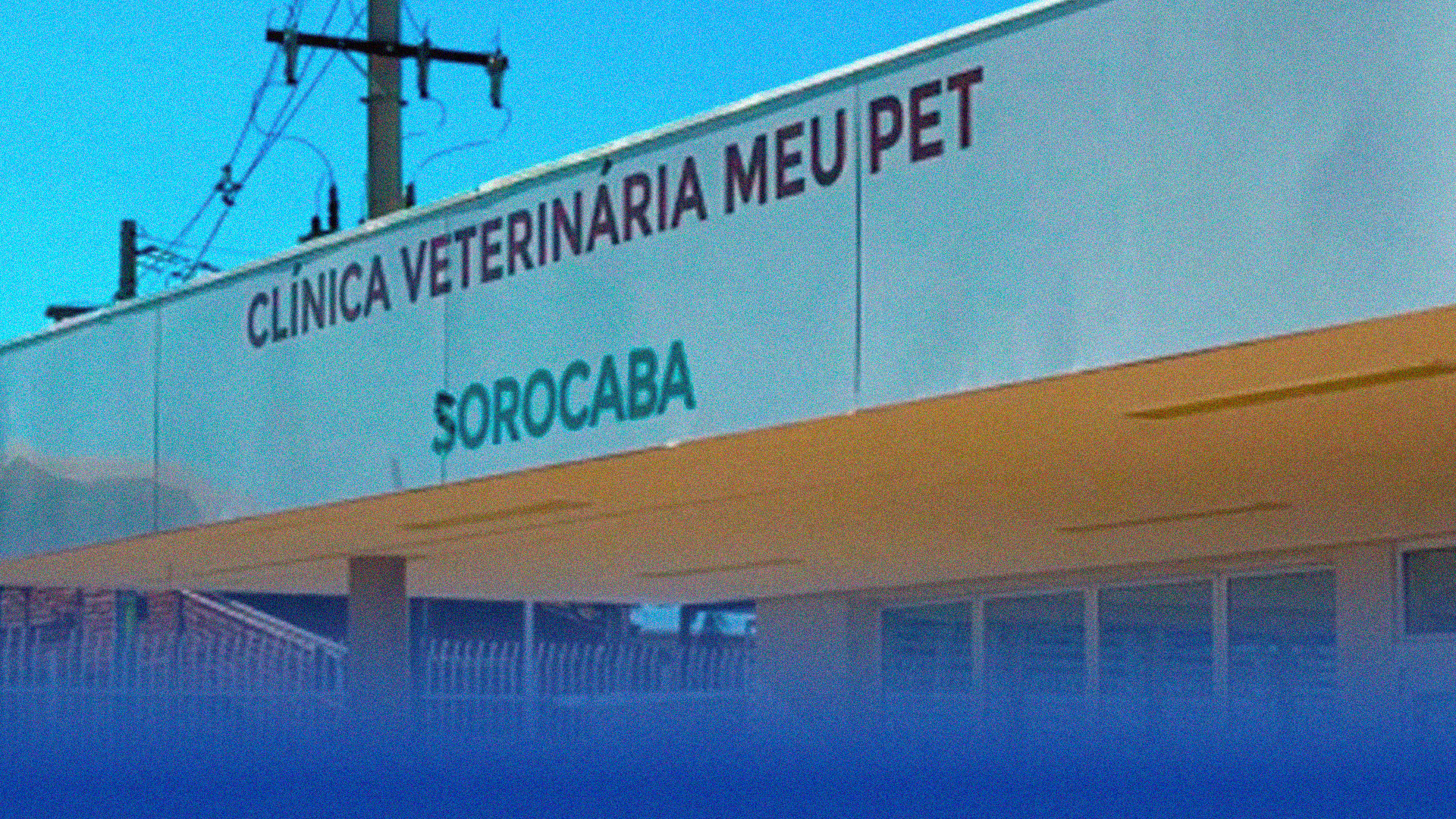 Hospital Público Veterinário: uma luta que começou em 2020 com o Chiquinho da Horta