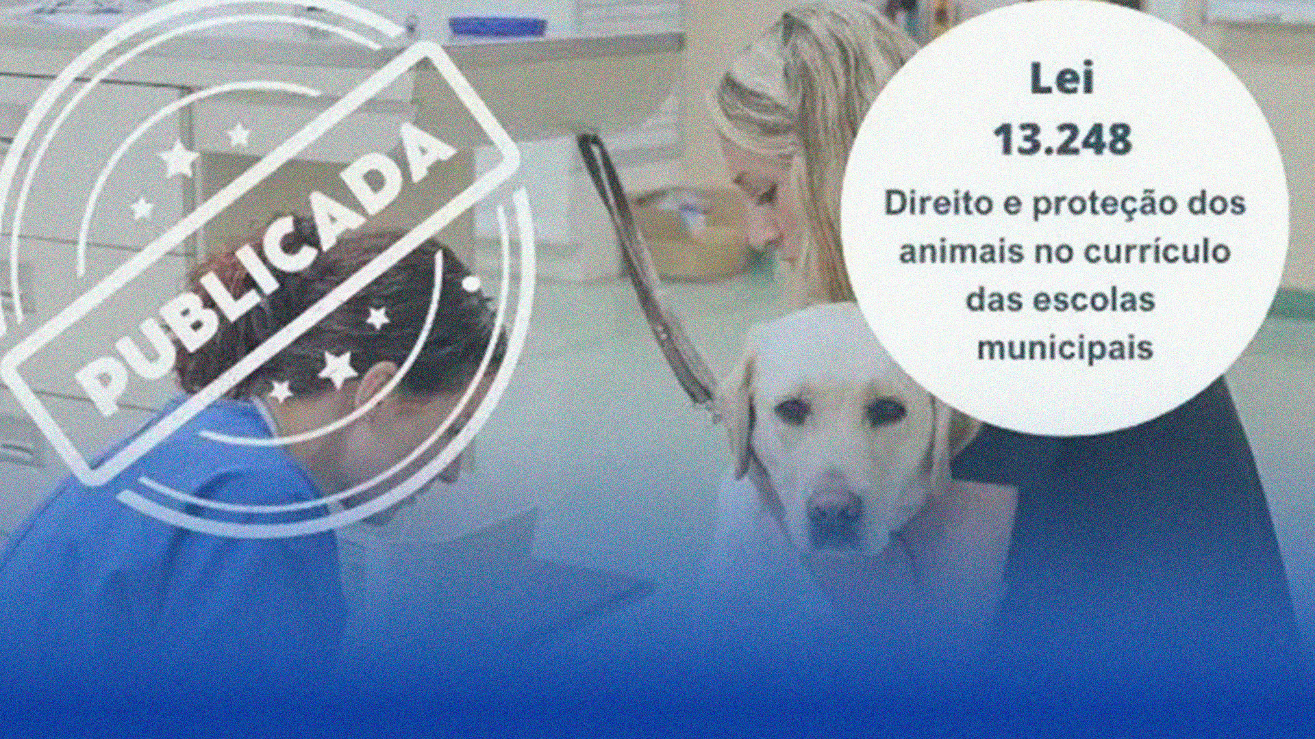 Direito e Proteção Animal nas Escolas Municipais