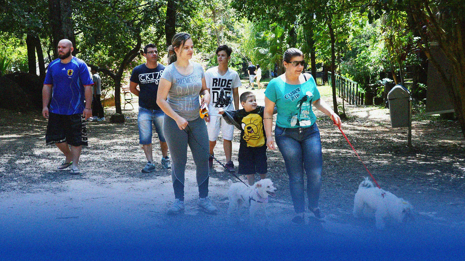 Dia da Cãominhada: Promovendo Bem-Estar Animal e Conscientização Comunitária