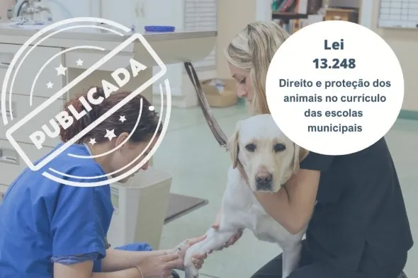 8&ordf; projeto