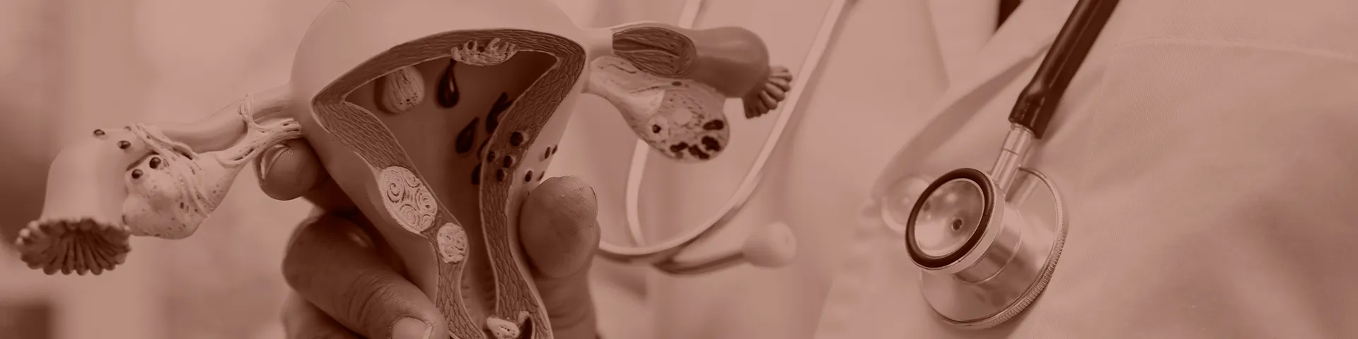 Imagem - Ginecologia