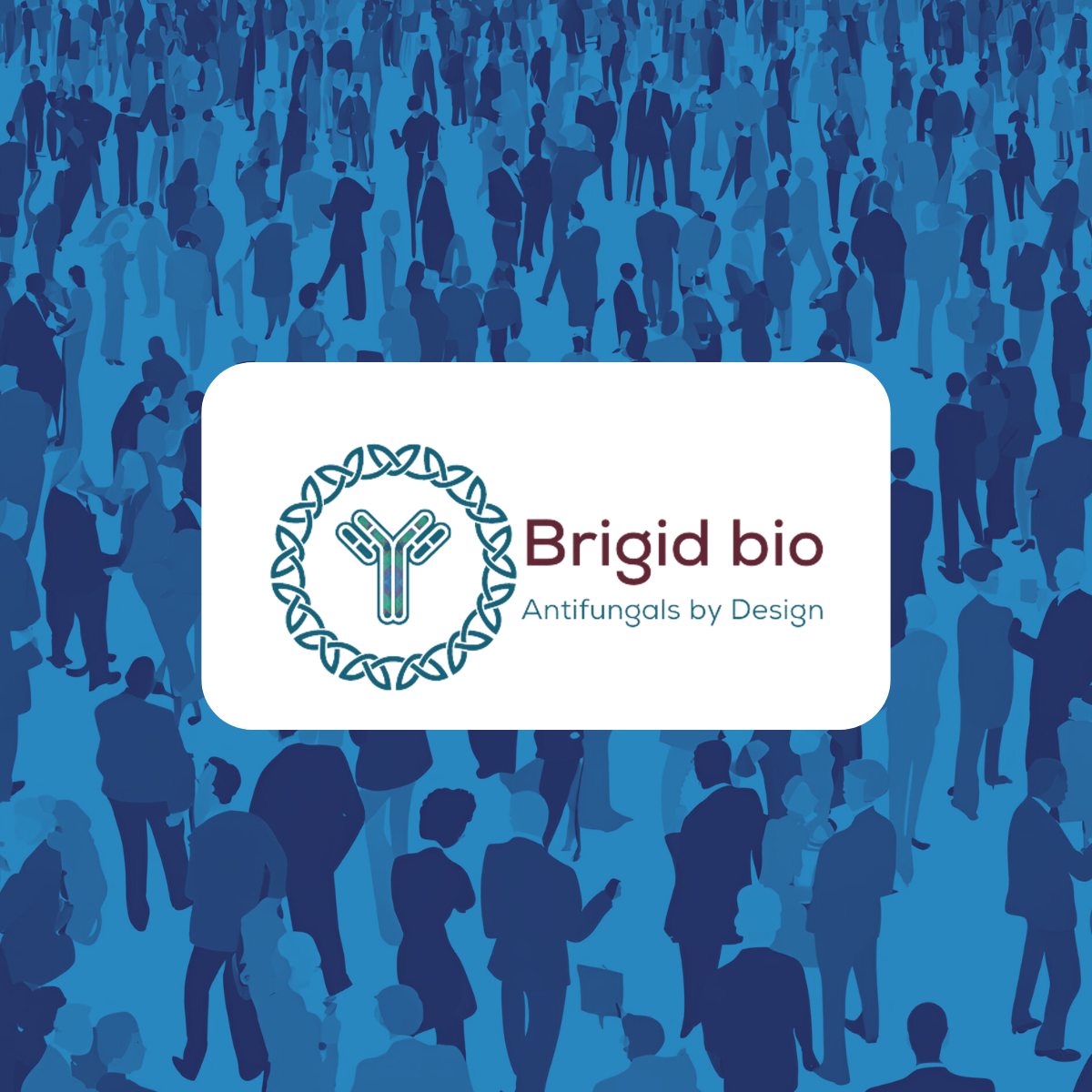 Brigid Bio awarded INCATE Stage II Funding