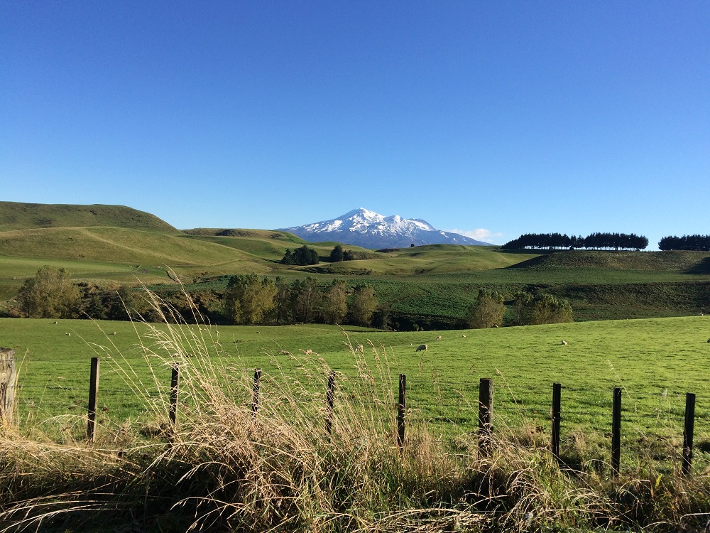 Mount Tongariro