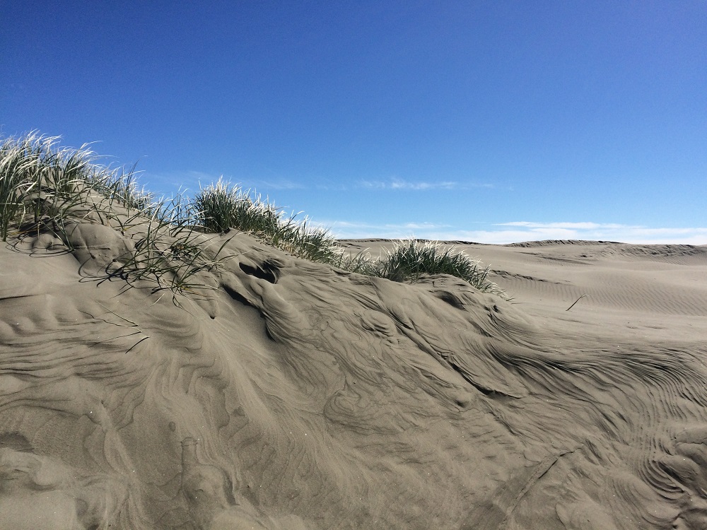 Dunes Foxton Beach