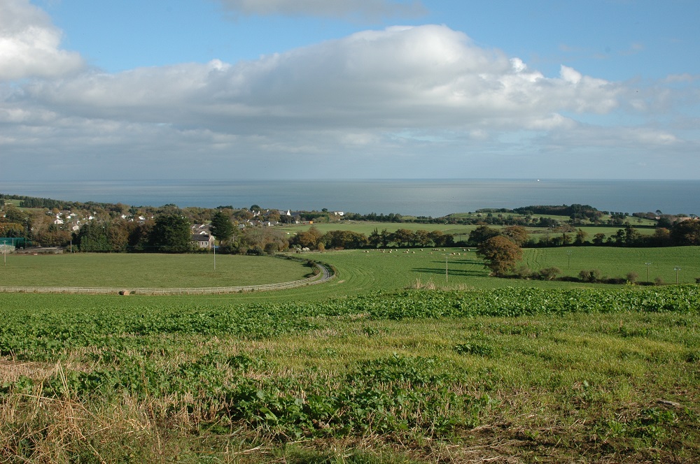 wicklow fields