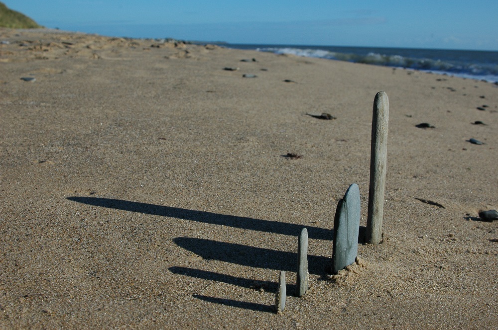 rocky beach art