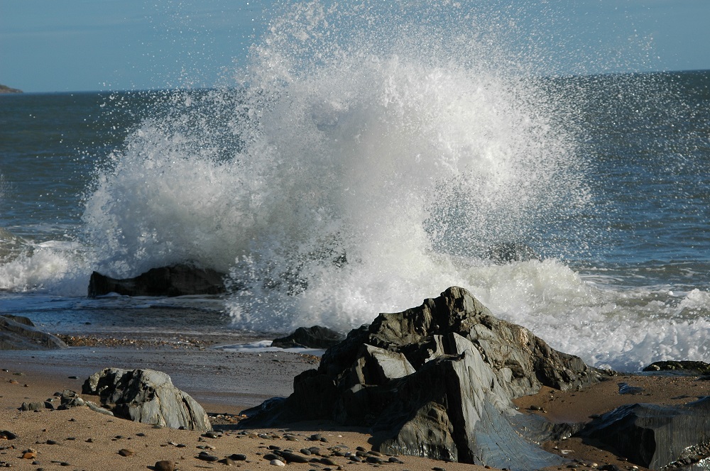 Wild Water Waves