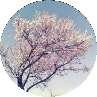 官方粉絲頁頭貼