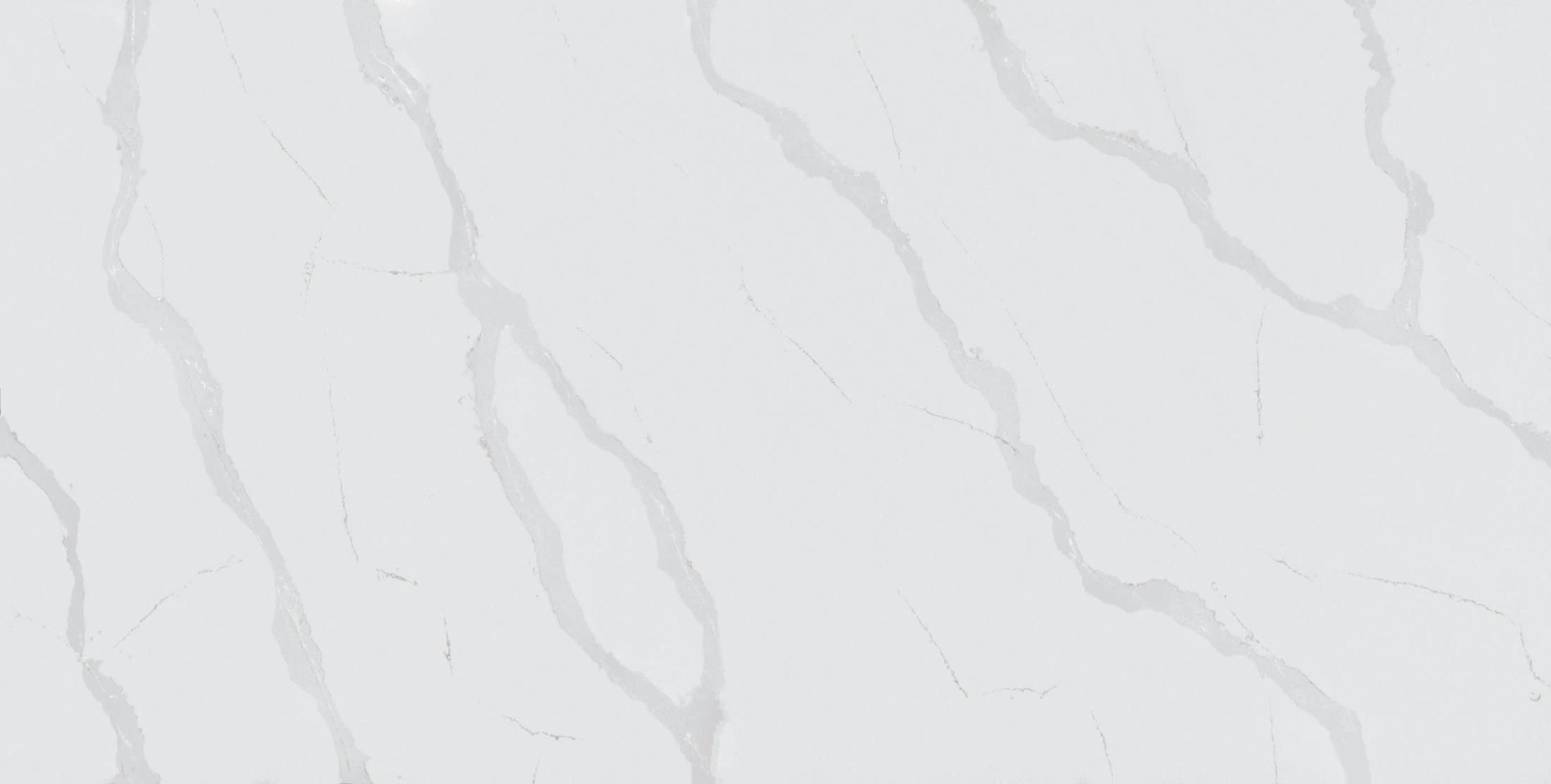 Eternal Classic Calacatta