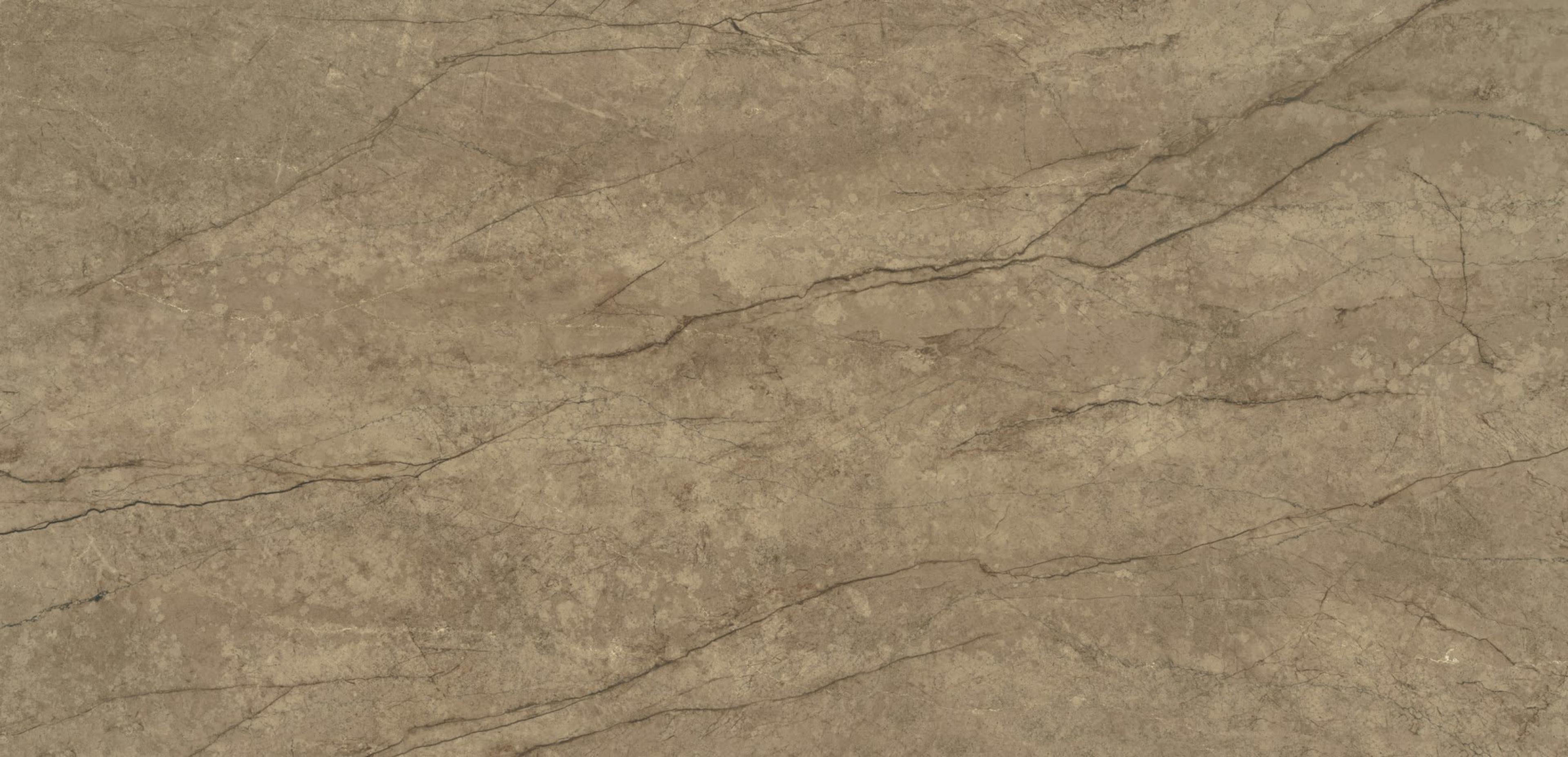 Eclectic Veins Legnd