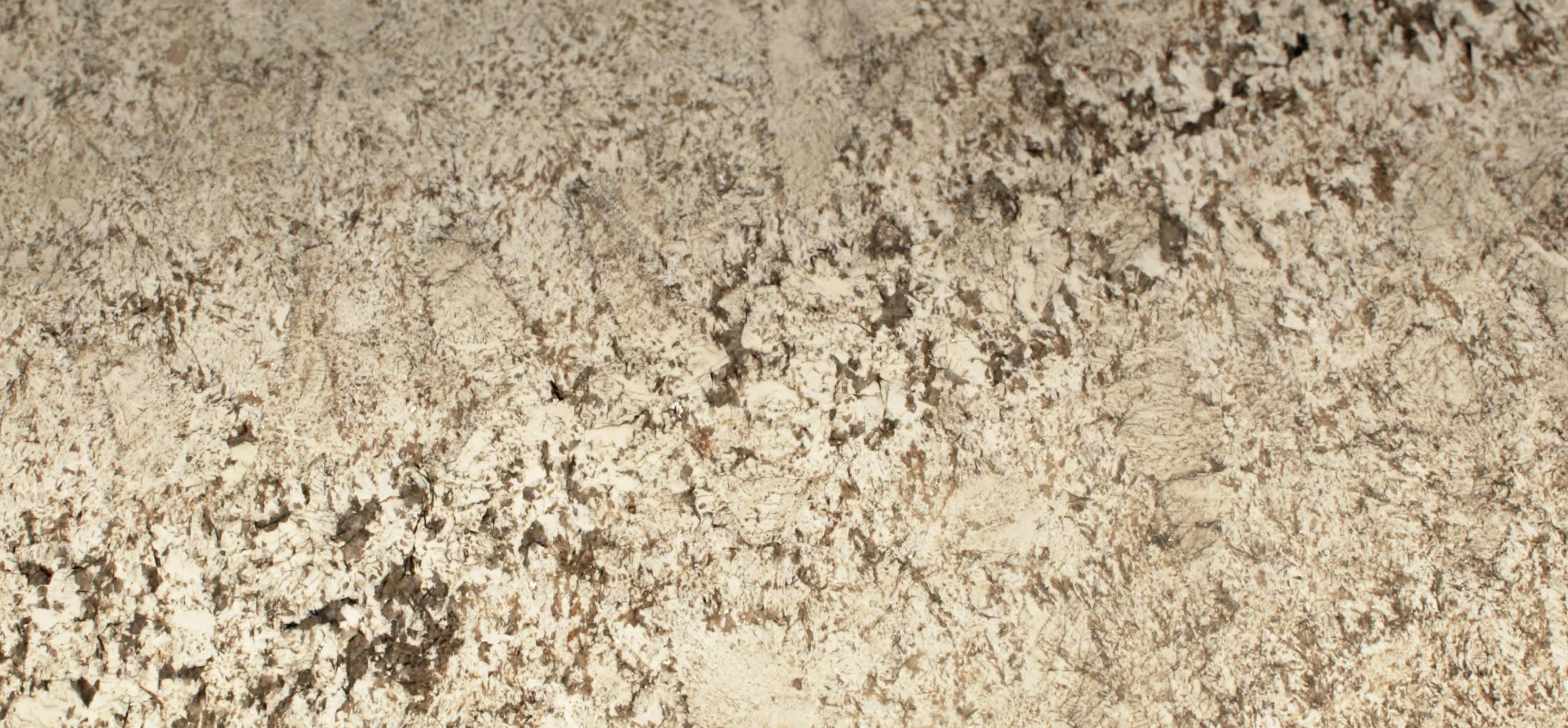 Scalea Star White