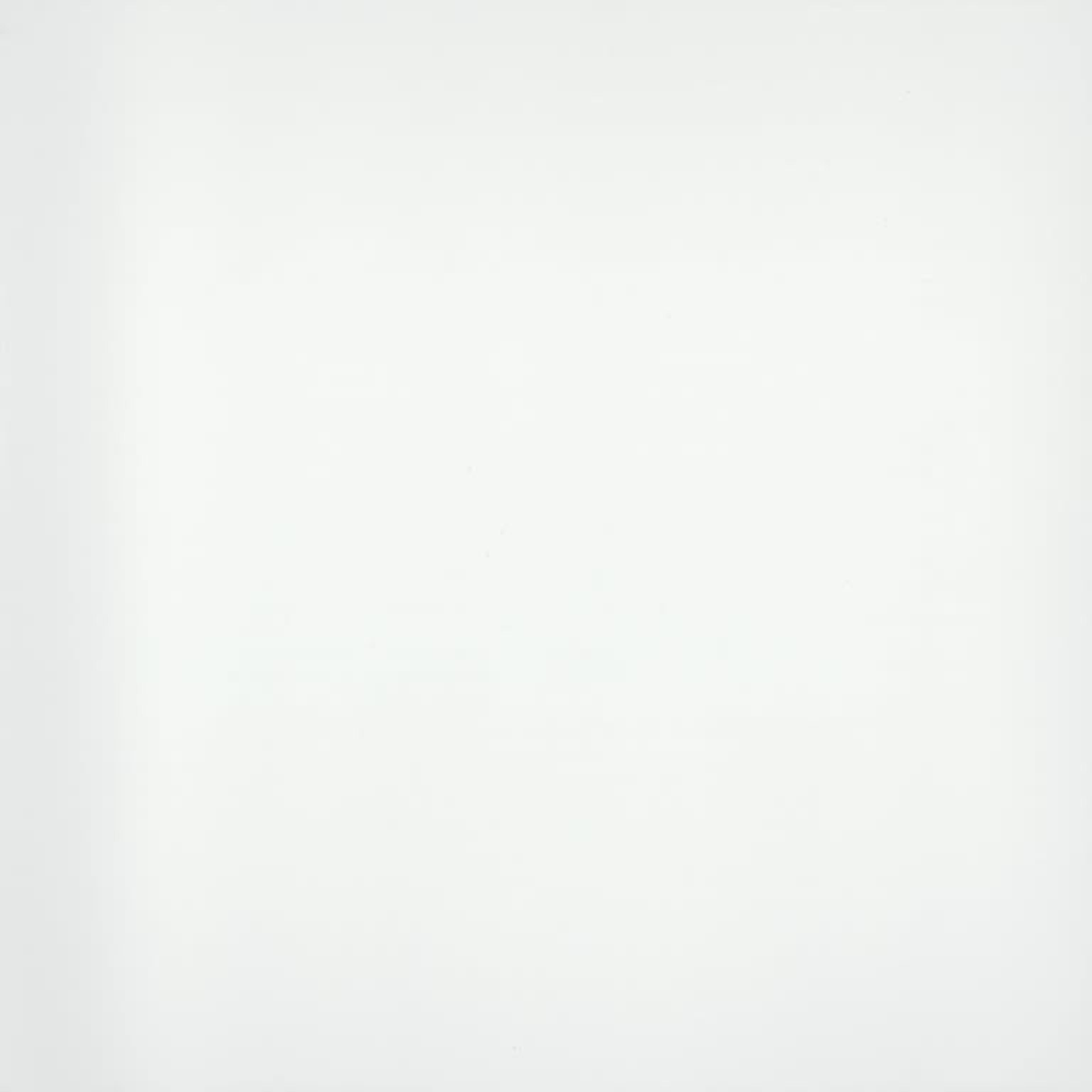 STYLE II Pure White