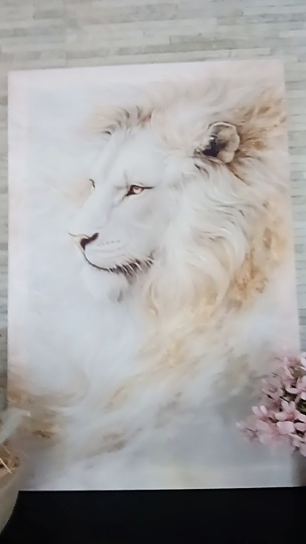Foto da avaliacao