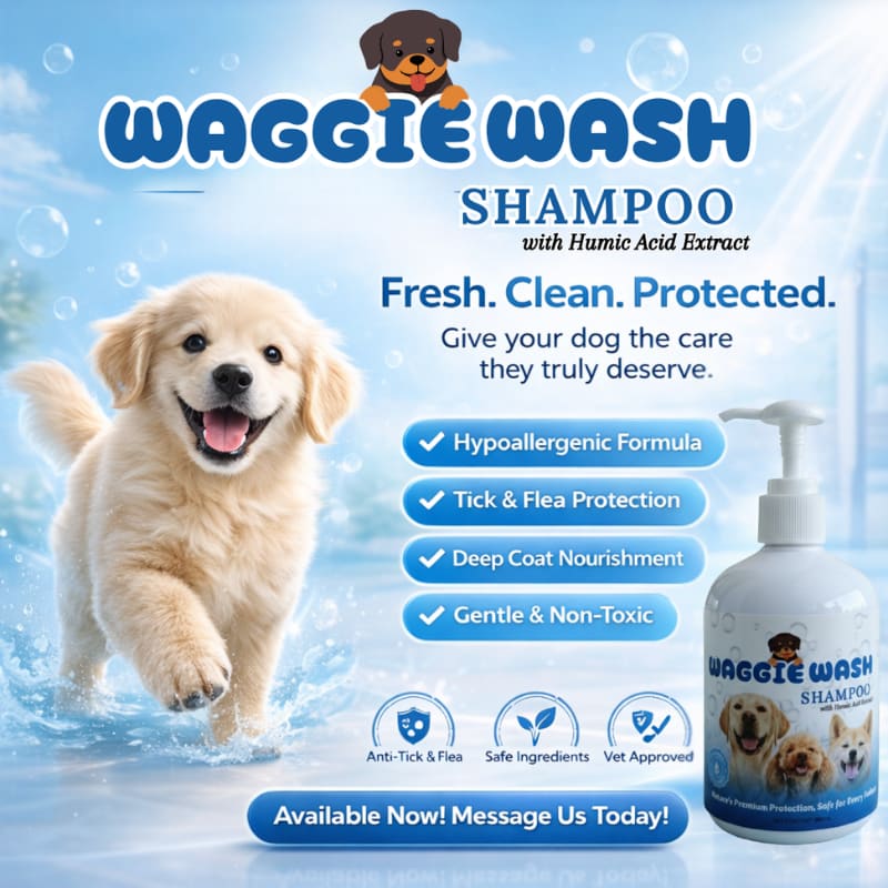 WAGGIE WASH SHAMPOO