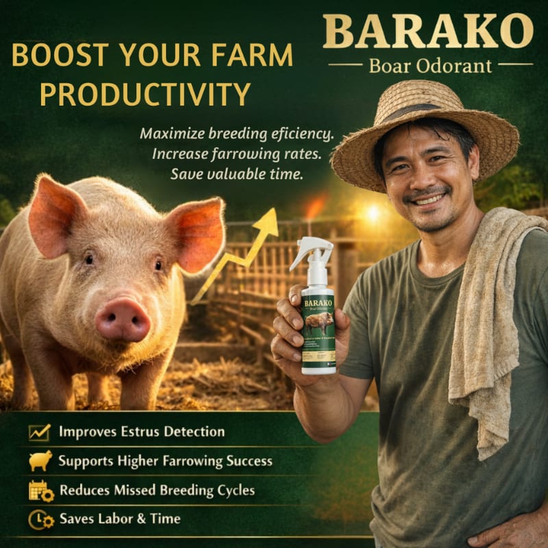 BARAKO BOAR ODORANT