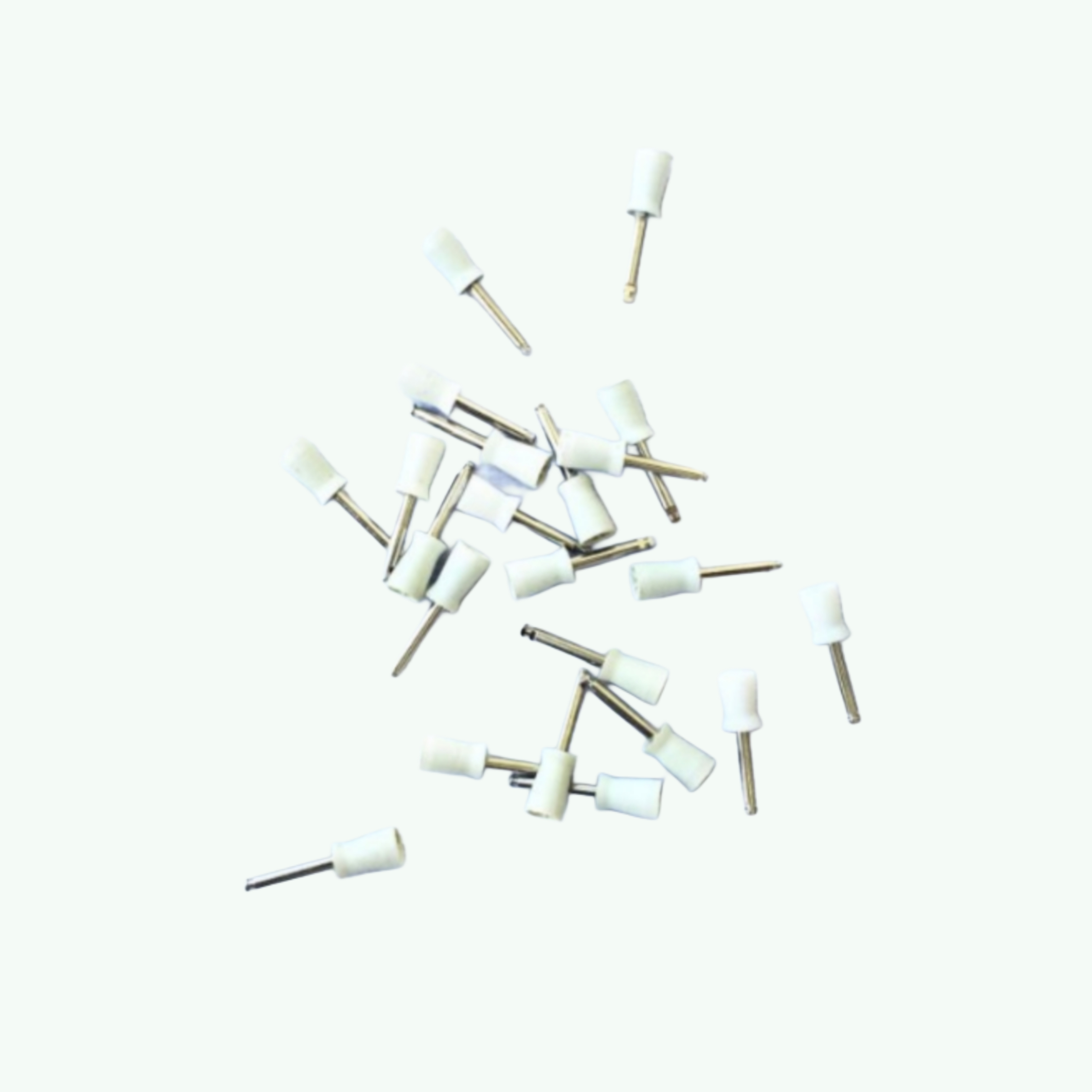 Dental Prophy Polishing Cups
