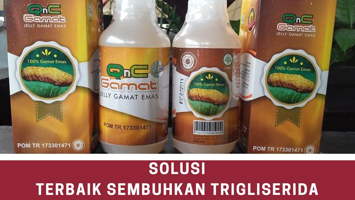 Menurunkan Trigliserida Menurunkan Trigliserida