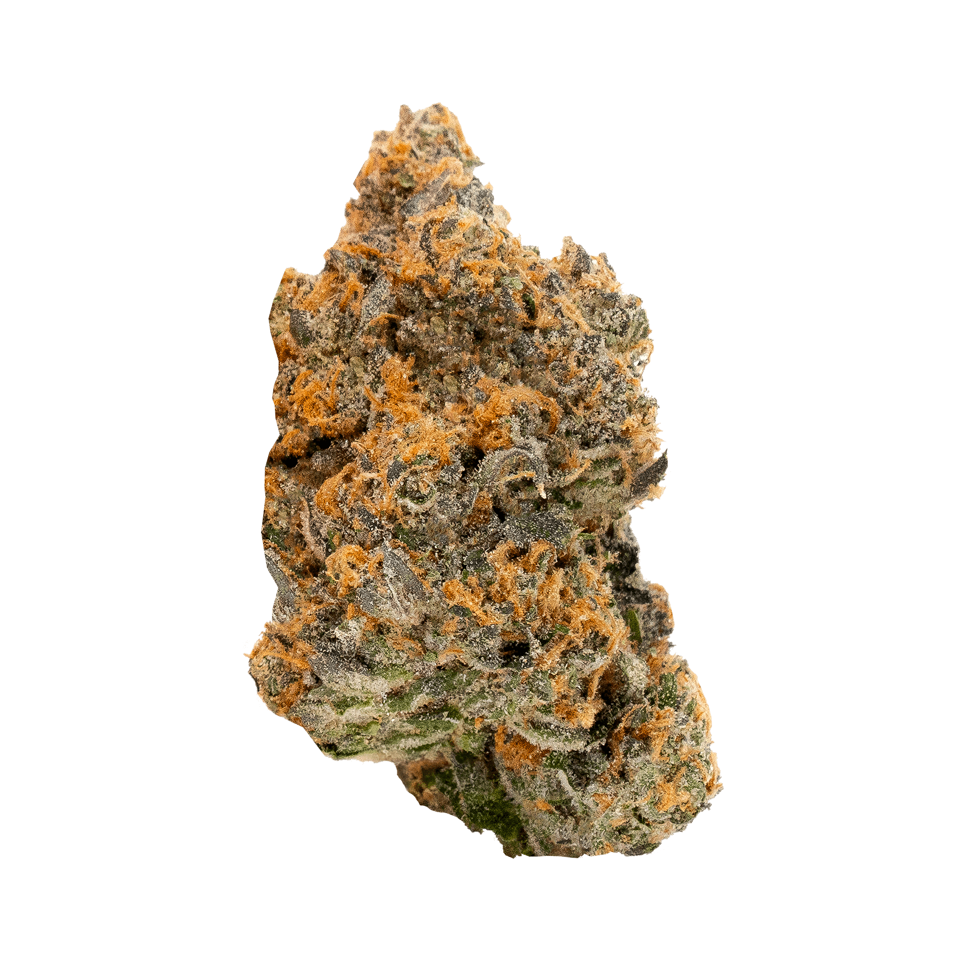 Strains | SHERBINSKIS