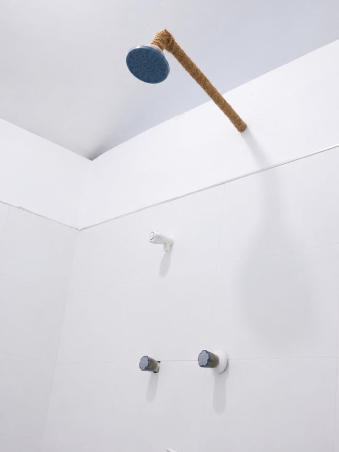 The Sun — the shower
